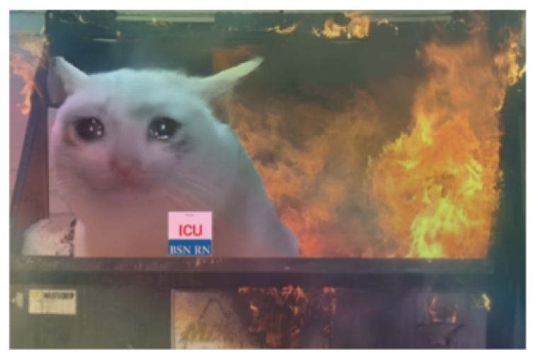 Dumpster fire cat Collection